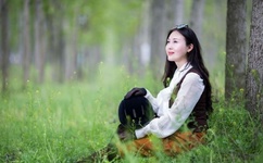 女性机器人售价一览表